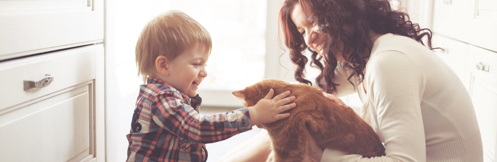 A mother and child playing with a cat