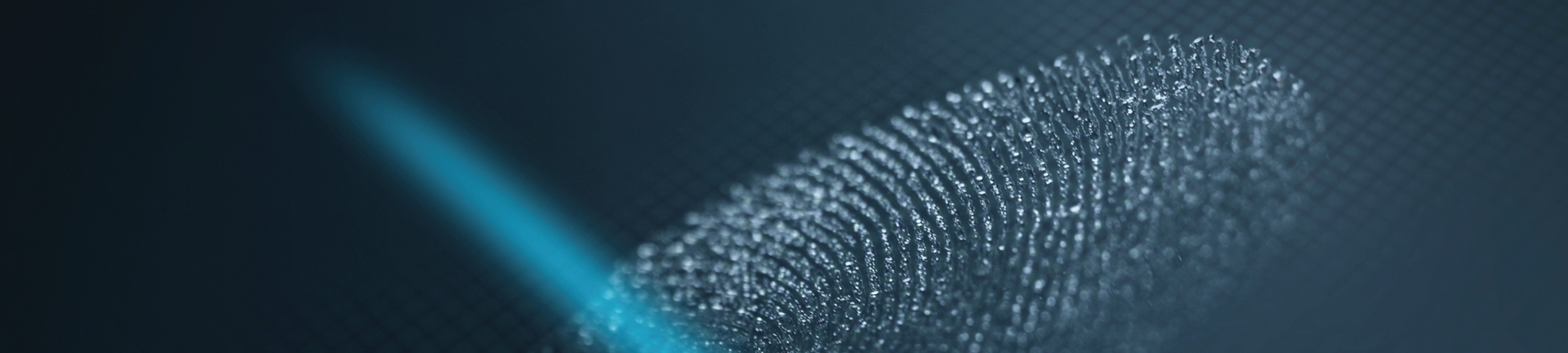 A closeup of a finger print